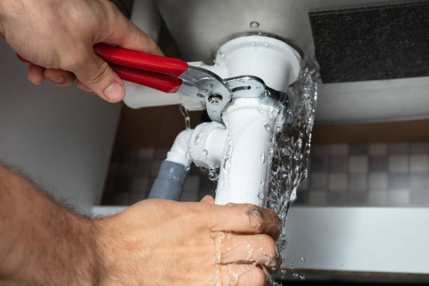 Best Professional water damage repair  in Purvis, MS