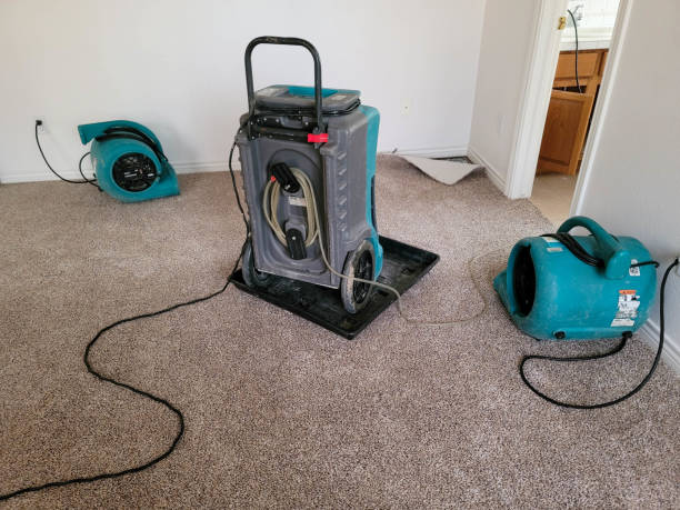 Best 24-hour water damage restoration  in Purvis, MS