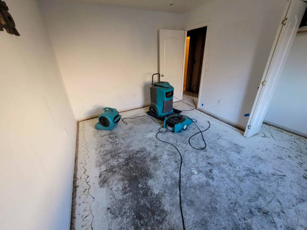 Water damage restoration mold remediation in Purvis, MS