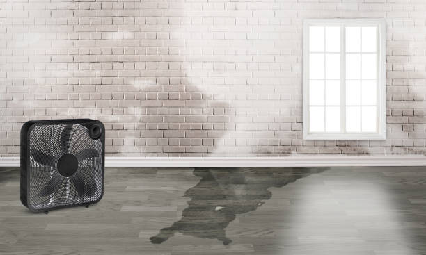 Best 24-hour water damage restoration  in Purvis, MS