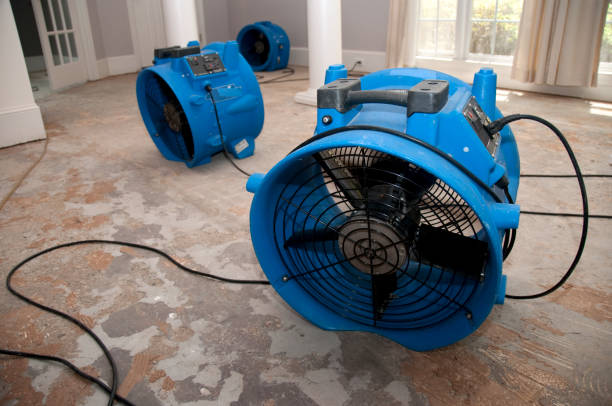  Purvis, MS Water damage restoration Pros