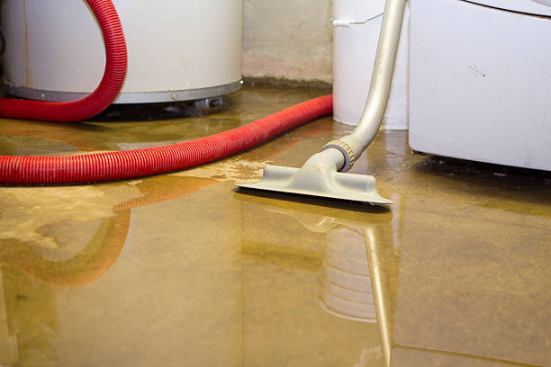 Best Water damage restoration insurance claims  in Purvis, MS