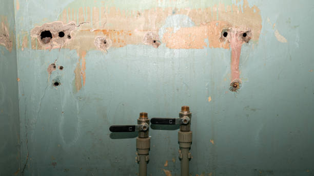 Best Water damage contractors near me  in Purvis, MS