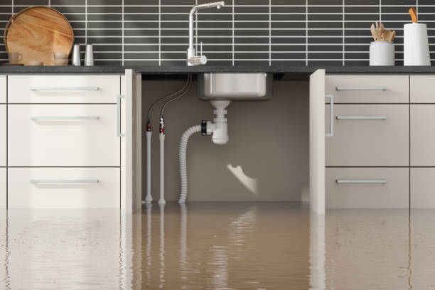 Best Residential water damage restoration  in Purvis, MS