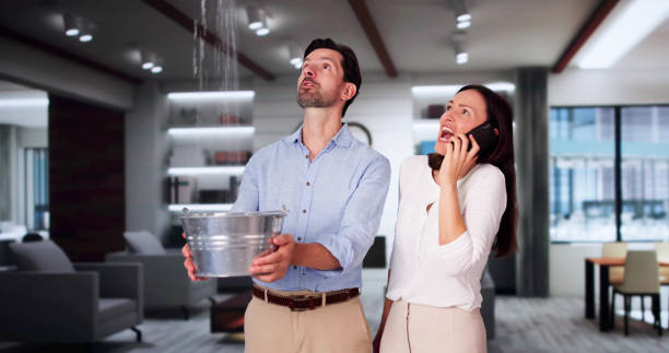 Best Carpet water damage restoration  in Purvis, MS